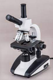Biological Microscope